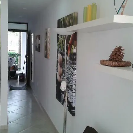 Vina Del Mar